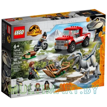 Конструктор LEGO Jurassic World 76946 Блю и Бета ловят велоцираптора